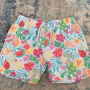 NWOT Caden Lane Colorful Fruit Print Men's Swim Shorts